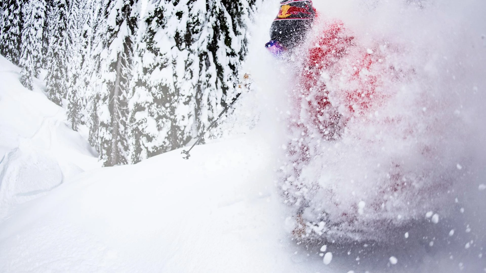 <h2>New Section Title</h2>