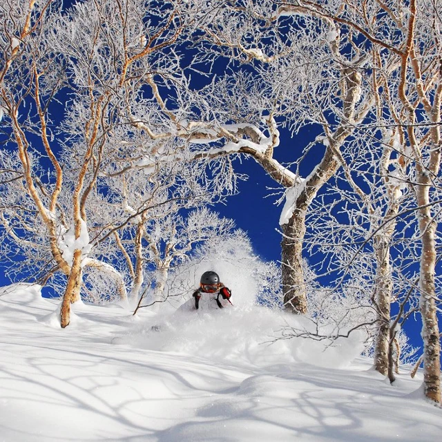 <h2>Das Programm im Detail</h2>