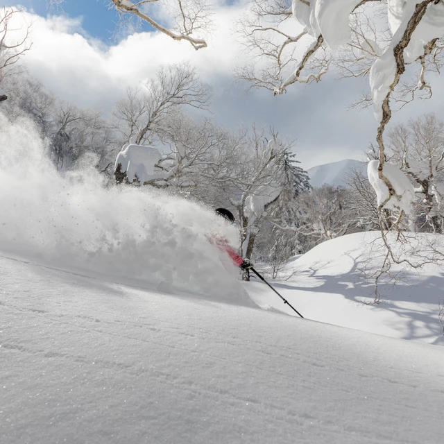 <h2>6 Tage Freeriden in Hokkaido</h2>