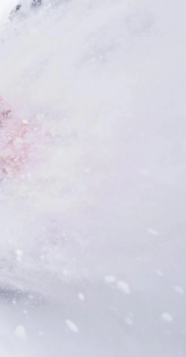 beschreibt das Monashees