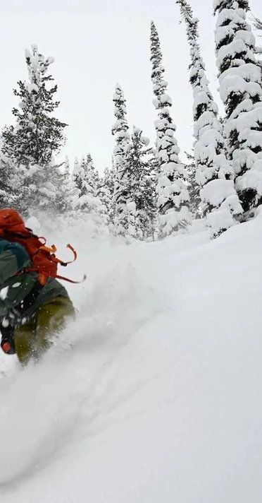 bleiben wir in Waldnähe