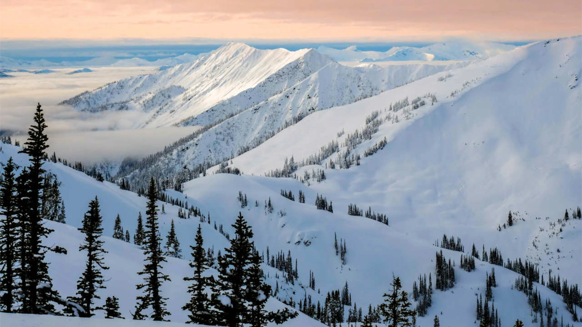 <h2>New Section Title</h2>