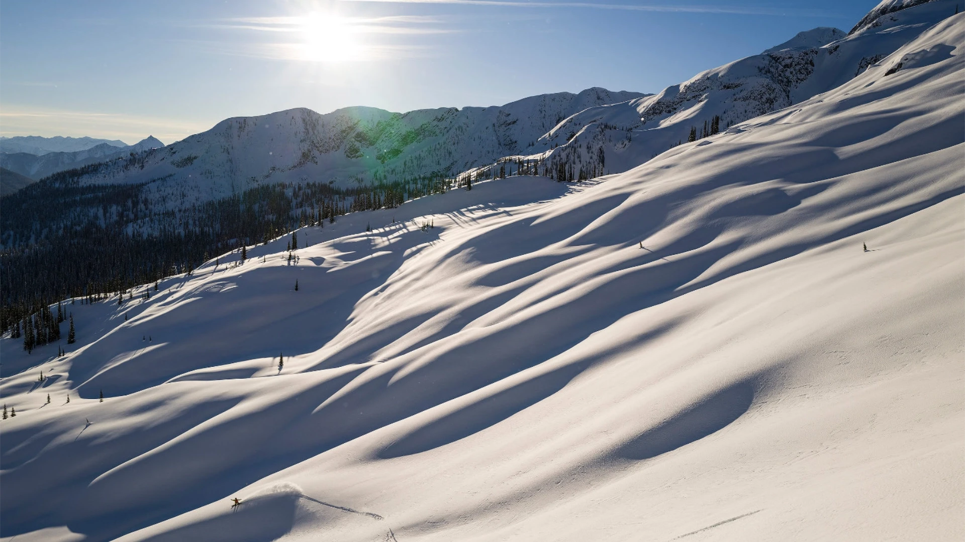 <h2>New Section Title</h2>