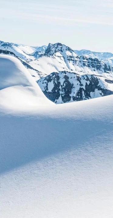 für Fortgeschrittene