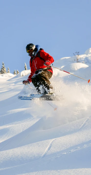 für Fortgeschrittene